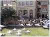 kupferberg78_2007.jpg
