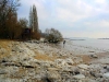 blankenese1.jpg