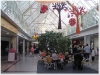 holstein_center_innen_2.jpg